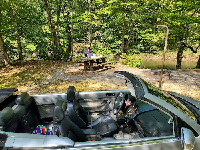 Williams River Road Forest Service Campsite 3