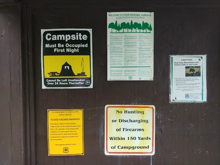 Williams River Road Forest Service Campsite 4