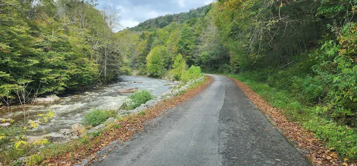 Williams River Road Forest Service Campsite 8