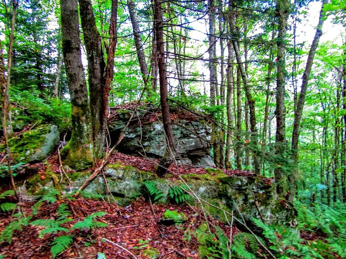 Tea Creek Campground 3