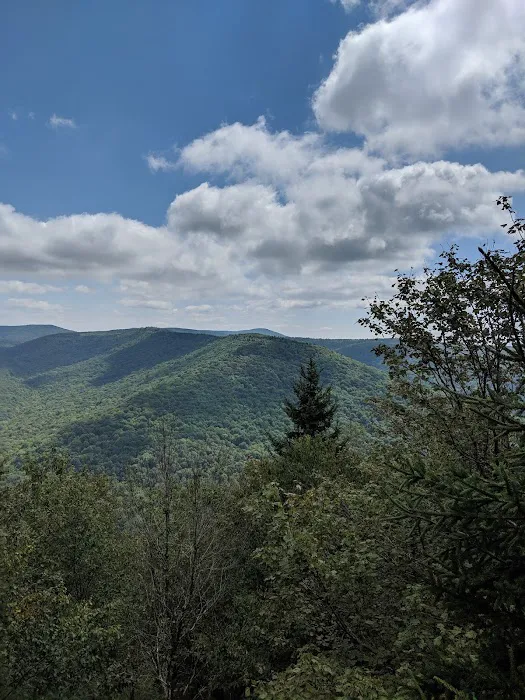 Tea Creek Campground 4