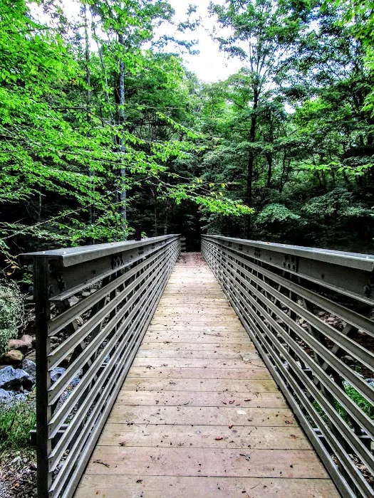 Tea Creek Campground 2
