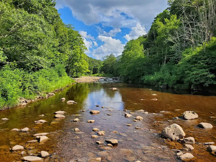 Tea Creek Campground 1