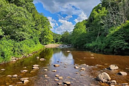 Tea Creek Campground