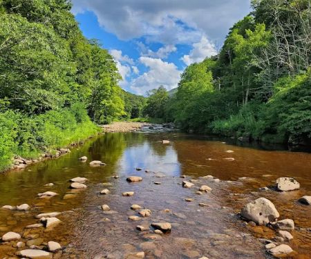 Tea Creek Campground