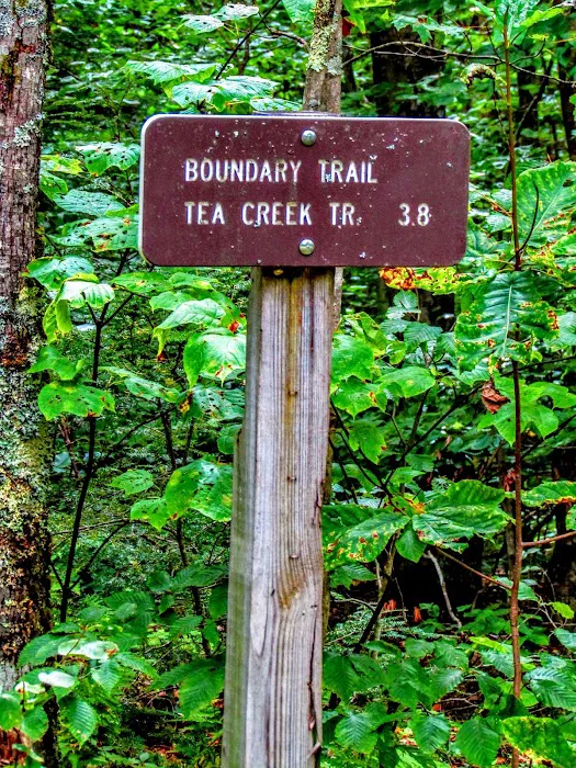 Tea Creek Campground 8