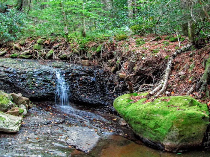 Tea Creek Campground 9