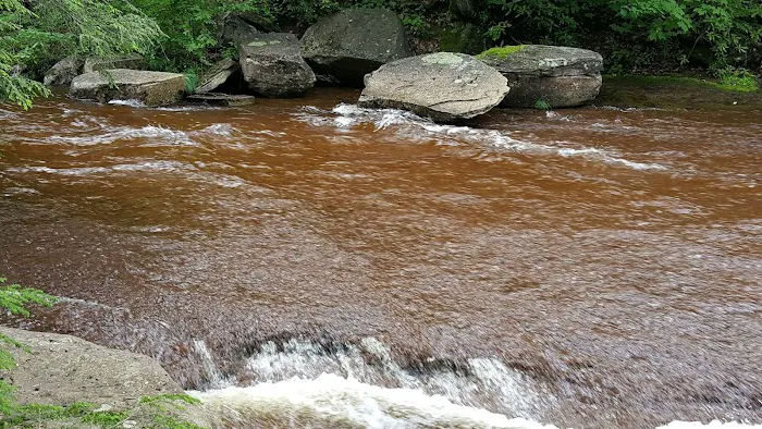 Tea Creek Campground 7