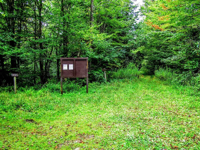 Tea Creek Campground 10