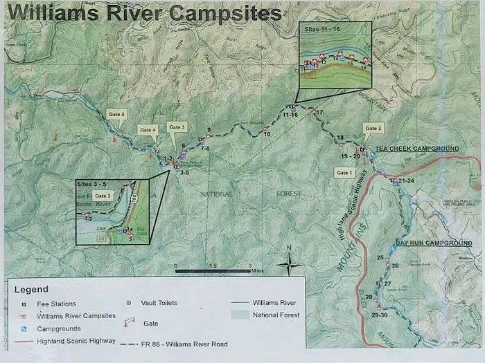 Williams River Campsite 19 2