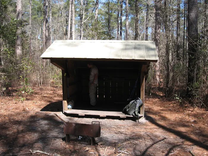 Dogwood Shelter 1
