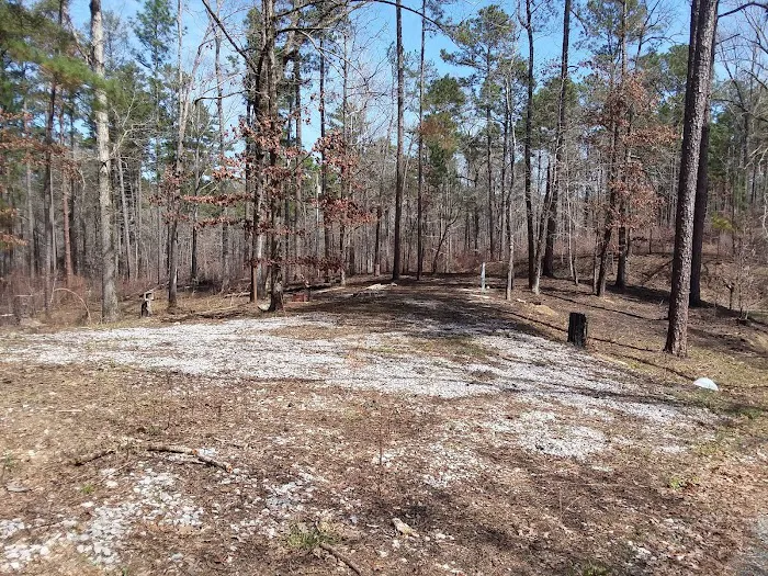 Payne Lake Eastside Campground 2