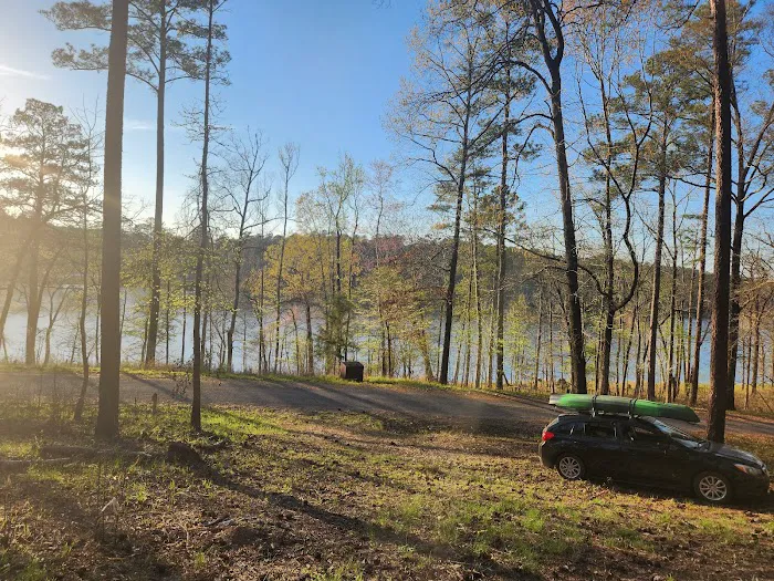 Payne Lake Eastside Campground 5
