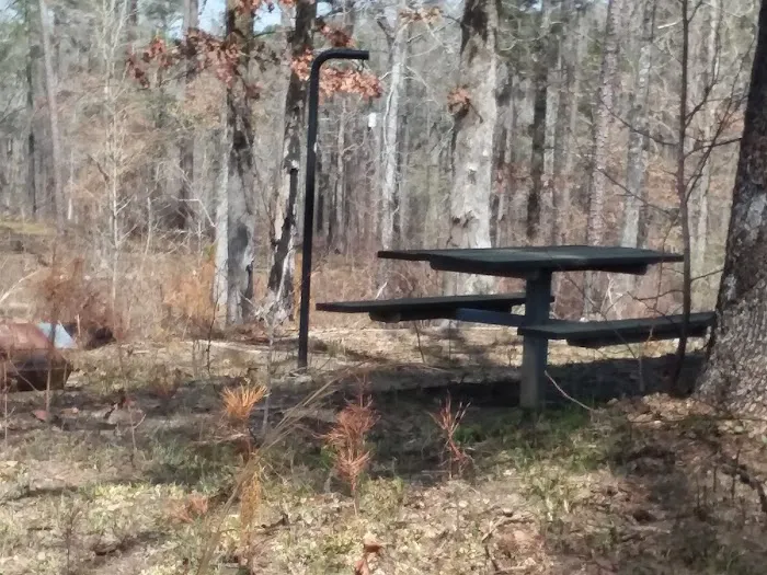 Payne Lake Eastside Campground 4