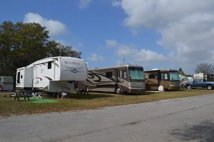 Encore Terra Ceia 5