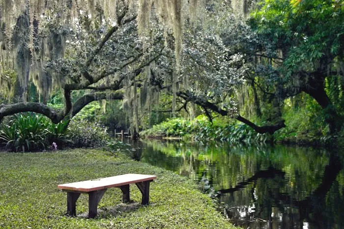 Frog Creek Campground 9