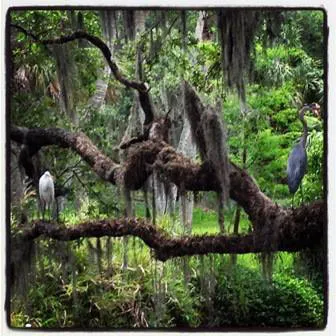 Frog Creek Campground 6