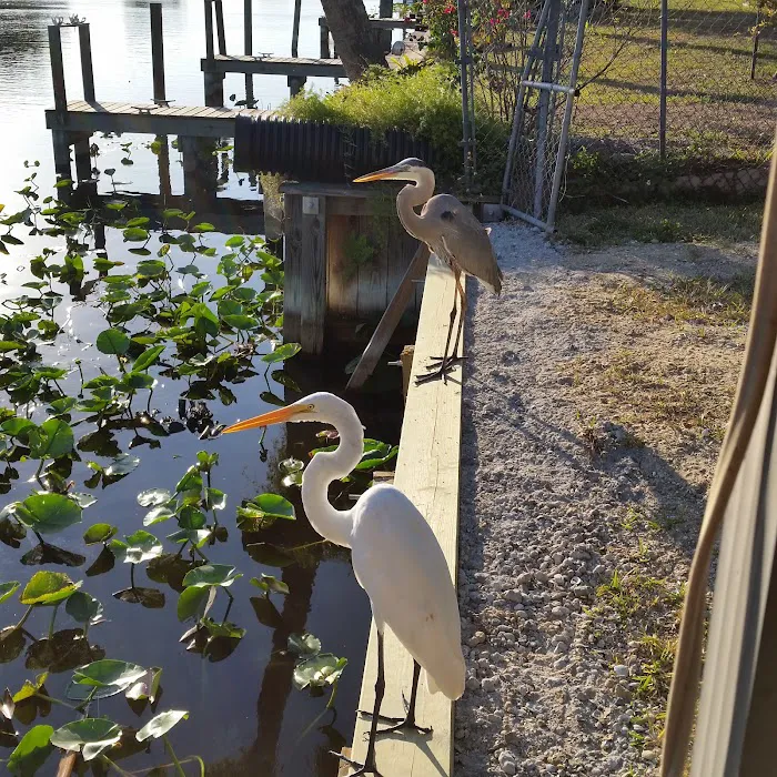 Lakeside RV Park 5