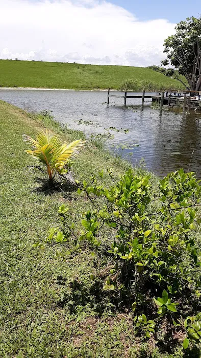 Butch's Fishcamp & RV Park 4