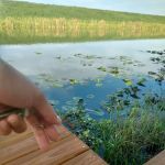 Lakeside Village RV Resort