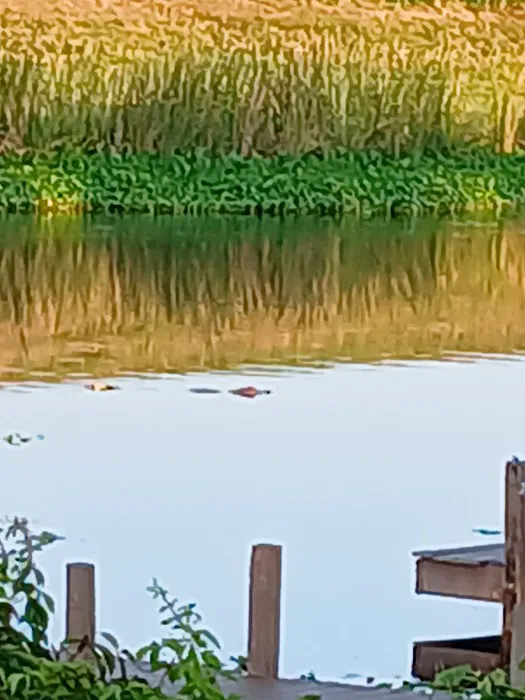 Grassy Waters Rv Park 3