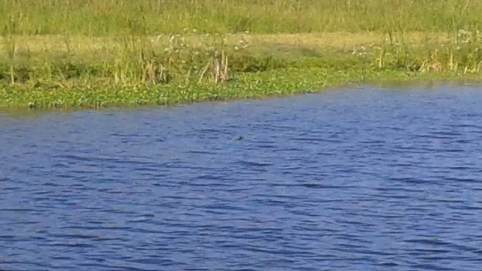 Grassy Waters Rv Park 1