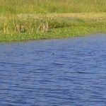 Grassy Waters Rv Park