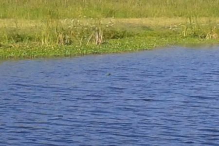Grassy Waters Rv Park