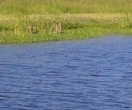 Grassy Waters Rv Park