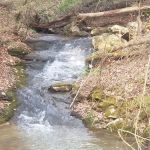 Beech Bottom Camping Area
