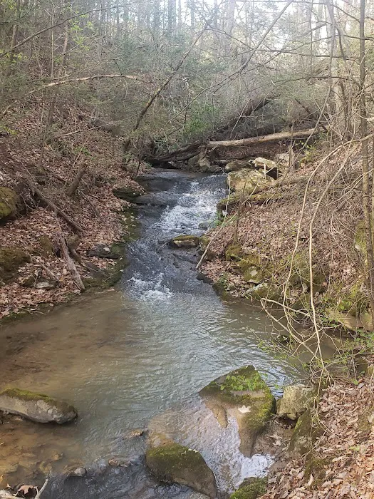 Beech Bottom Camping Area 3