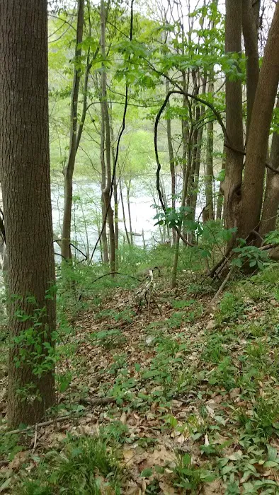 Stone Cliff Campground 7