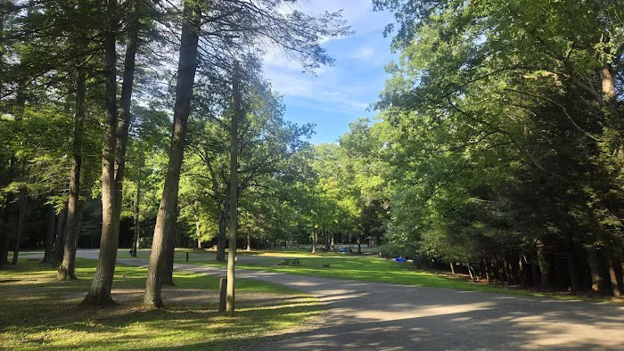 Babcock State Park Campground 5