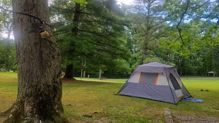 Babcock State Park Campground 7