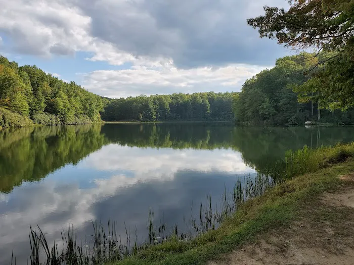 Babcock State Park Campground 9
