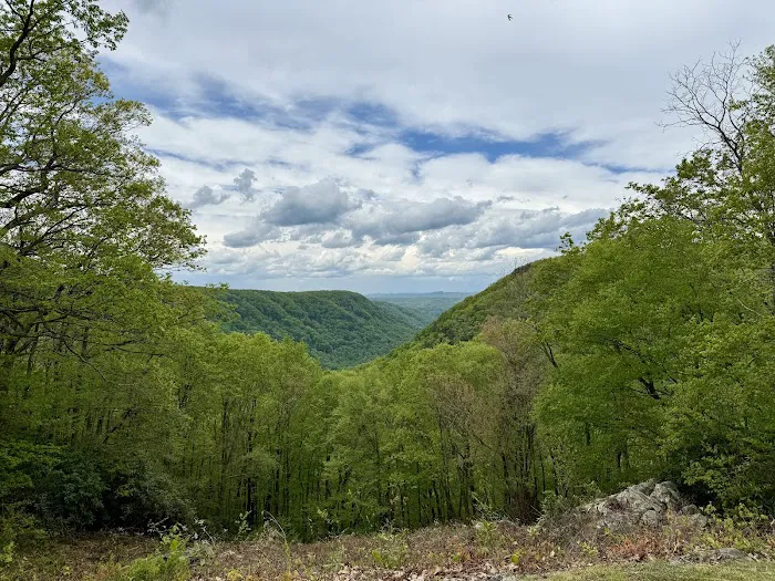 Babcock State Park Campground 8