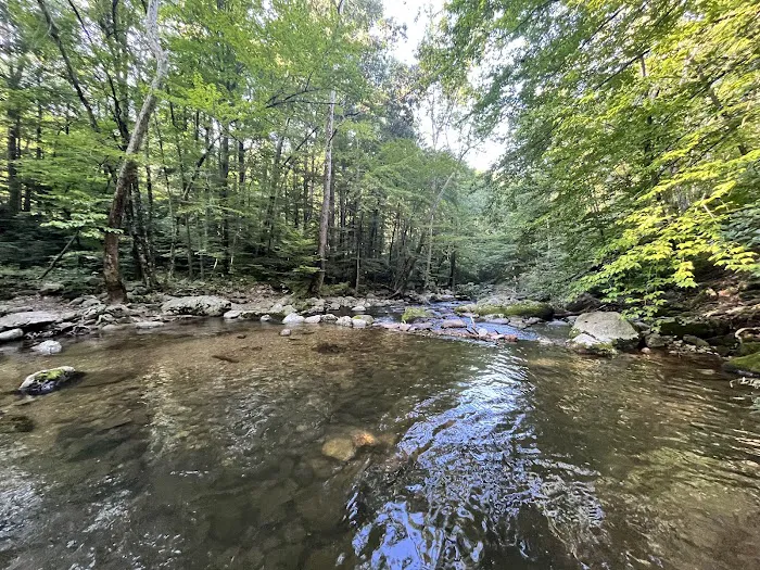 Crabtree Falls Campgrounds 3