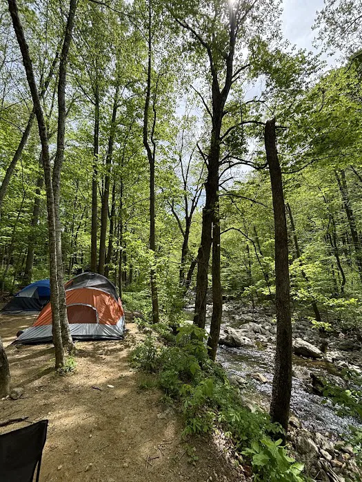 Crabtree Falls Campgrounds 5
