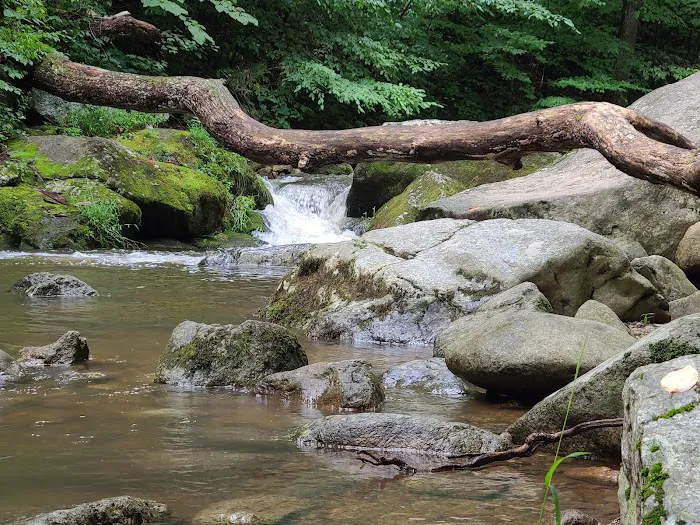 Crabtree Falls Campgrounds 6
