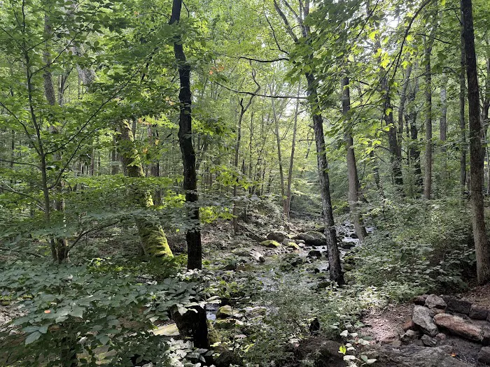 Crabtree Falls Campgrounds 4