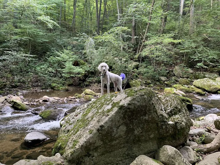 Crabtree Falls Campgrounds 10