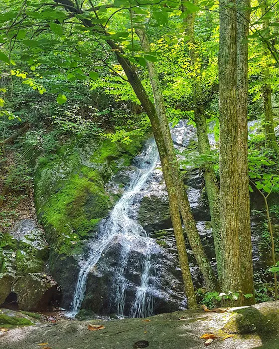 Crabtree Falls Campgrounds 9