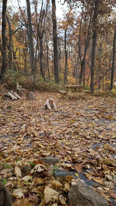 Love Ridge Campground 1