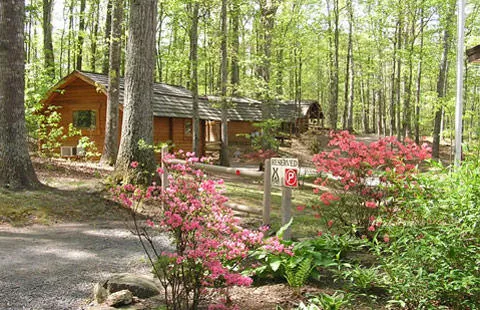 Charlottesville KOA Holiday 5