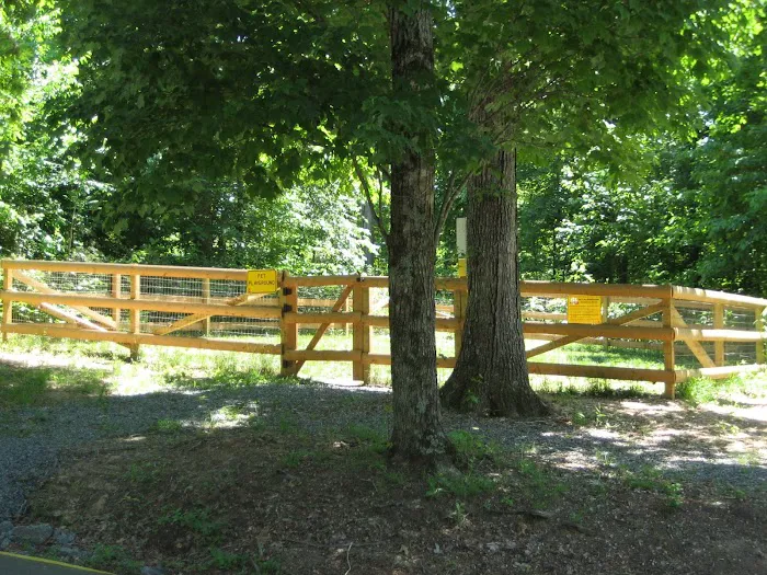 Charlottesville KOA Holiday 6