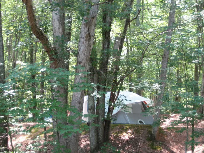 Charlottesville KOA Holiday 9