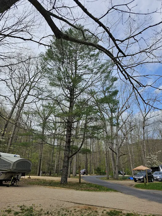 Sherando Lake Group Camp 4