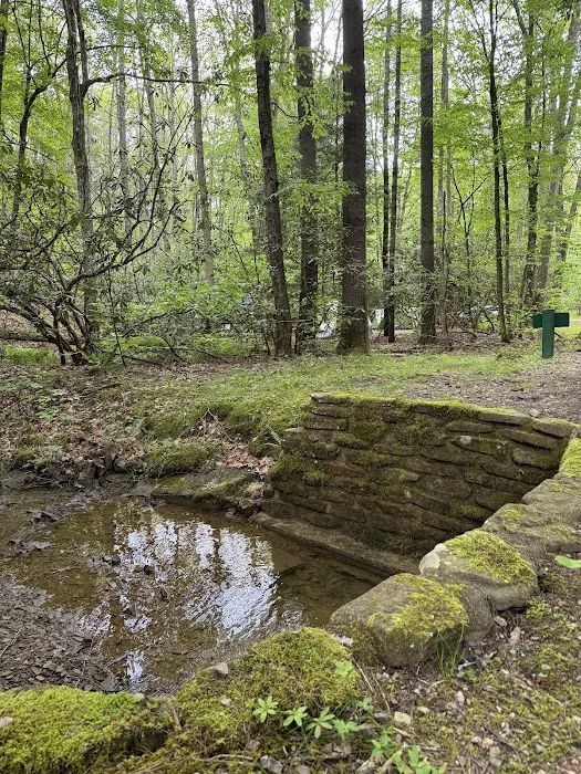Seven Mile Campground 2