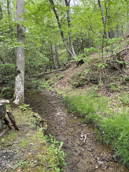 Seven Mile Campground 4