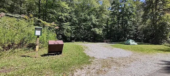 Williams River Campsite 17 2